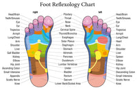TOFL Wooden Foot Massager - PT08